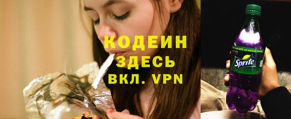 прущий лед Богданович