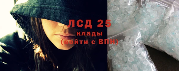 прущий лед Богданович