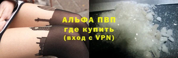 прущий лед Богданович
