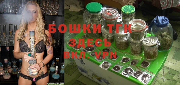mdpv Богородск