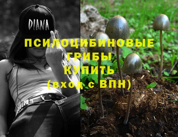 ALPHA-PVP Богородицк