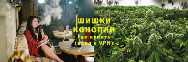 прущий лед Богданович