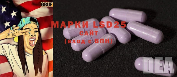 mdpv Богородск