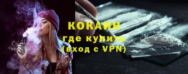 mdpv Богородск