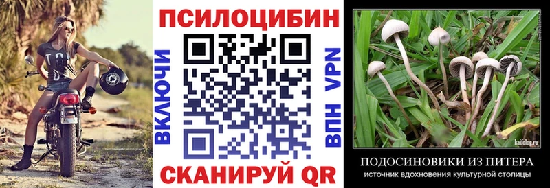 Галлюциногенные грибы Magic Shrooms  Вязники 