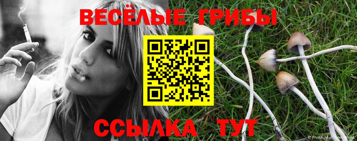 Галлюциногенные грибы Psilocybine cubensis  Псилоцибиновые грибы мухоморы  Вход с VPN  Вязники 