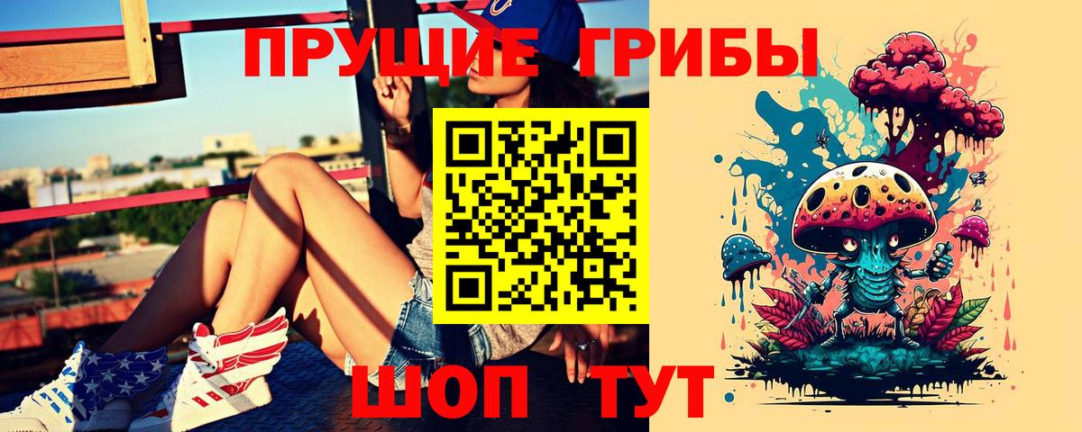 Псилоцибиновые грибы Psilocybine cubensis Вязники